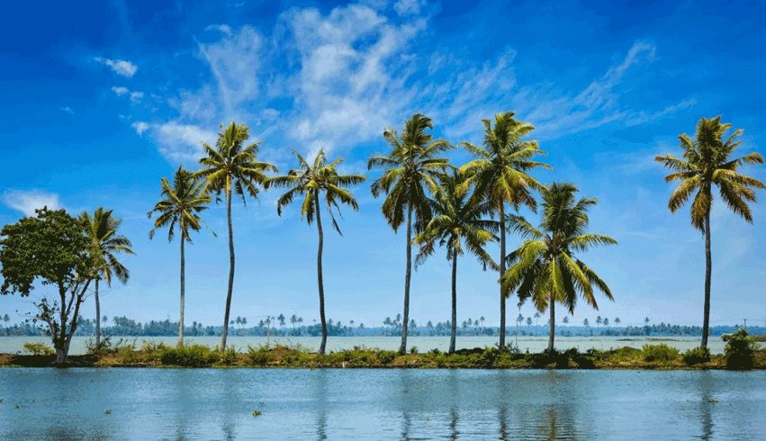 KERALA SUPER SAVER SUMMER PACKAGES