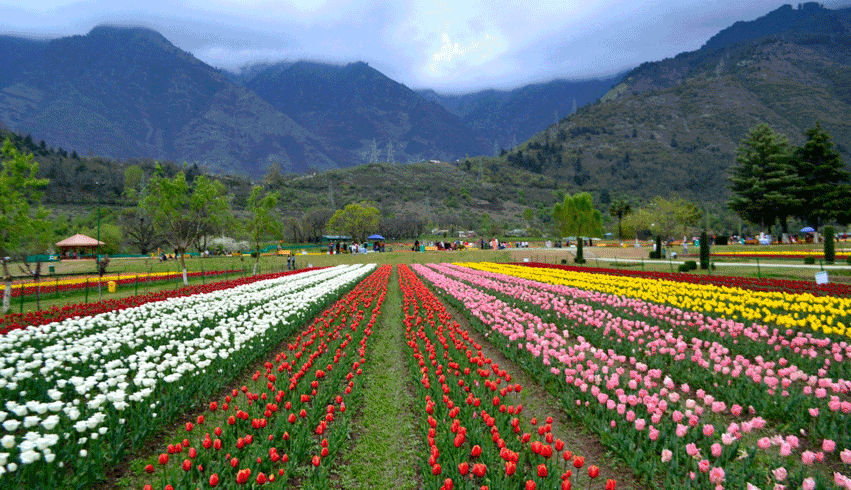 KASHMIR CITY TOUR PACKAGE