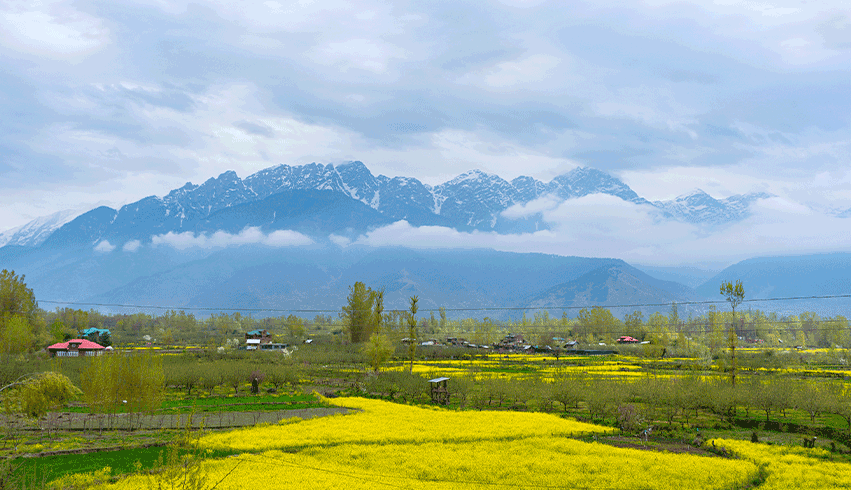 KASHMIR CITY TOUR PACKAGE